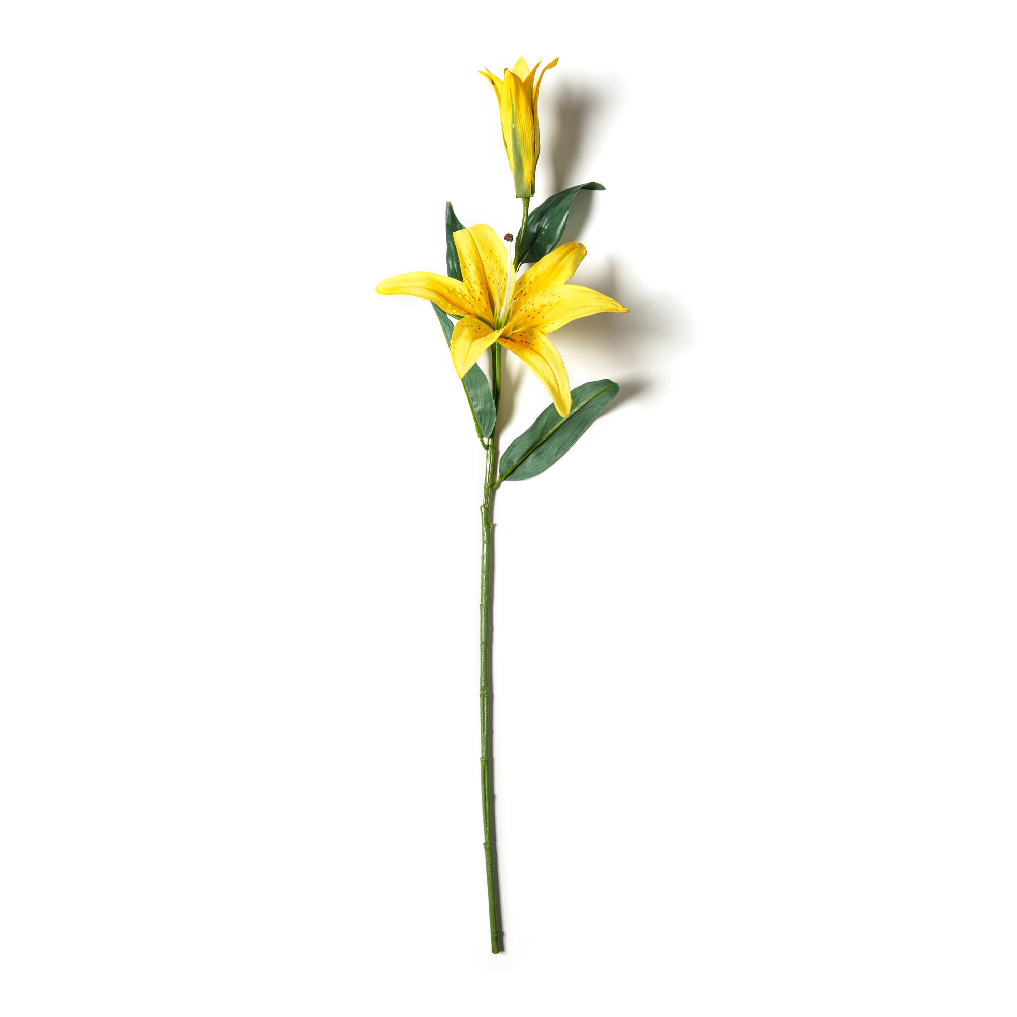 12 Pack: Yellow Casablanca Lily Stem by Ashland®
